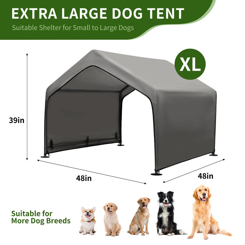 Extra Large Dog House Outside
