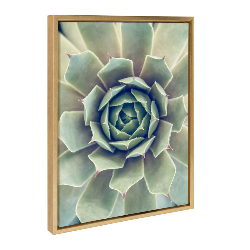 «Succulent 1» par Emiko et Mark Franzen, reproduction d'art sur toile encadrée
