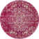 Oriental Indoor Rug