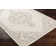Oriental Indoor Rug