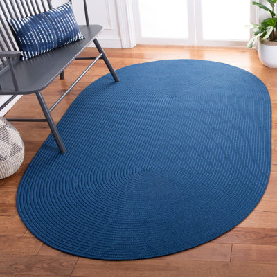 Braided Hand Woven Performance Machine Washable Solid Color Indoor/Outdoor Area Rug
