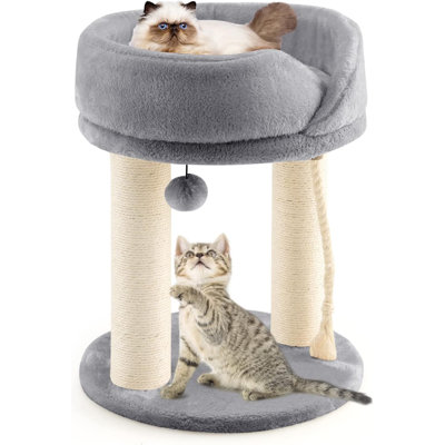 Tifton Cat Perch