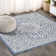 Moten Medallion Textured Weave Navy/Gray Indoor/Outdoor Rug