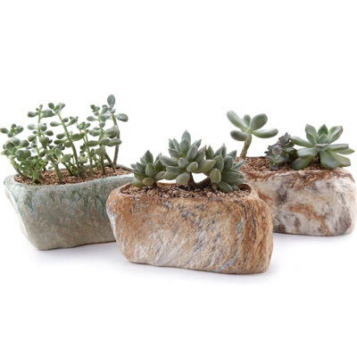 5.5" Ceramic Succulent Planter Set Of 3