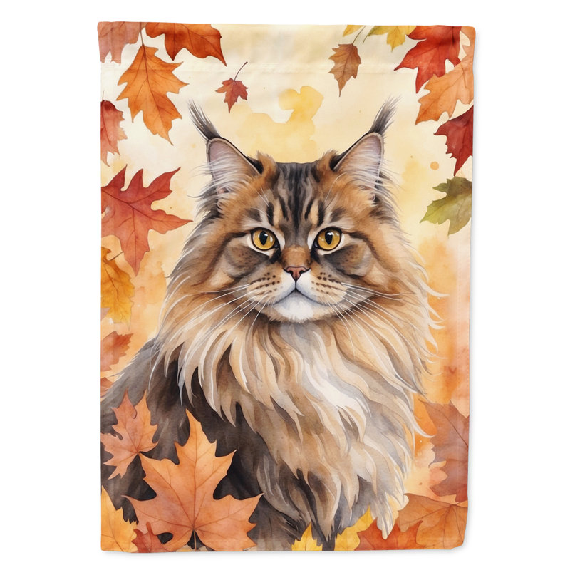 Chat en feuilles d'automne, British Longhair