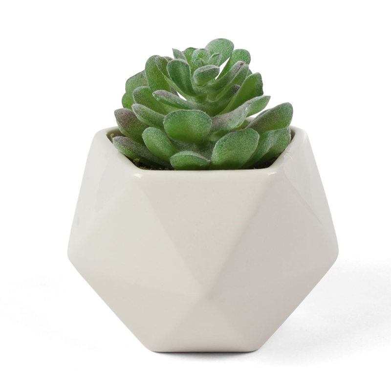 Small Green Artificial Succulent in White Geometric Ceramic Planter