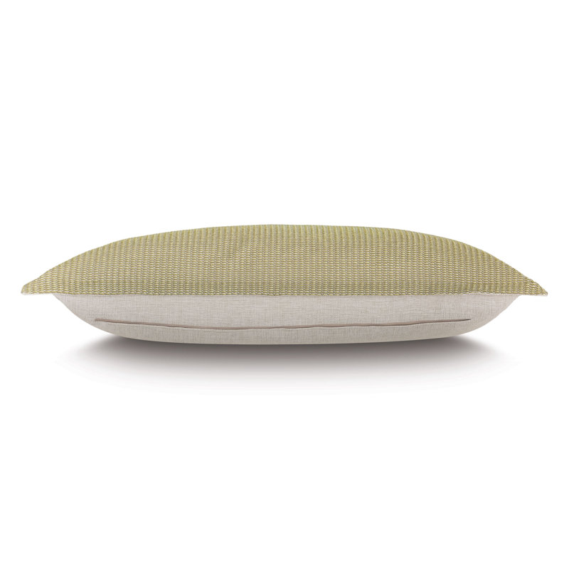 Frankie Citron Dutch Euro Sham
