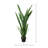 Snake Plant Drop-In