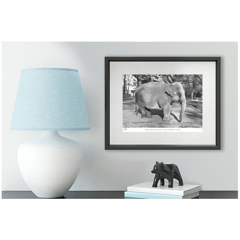 Chessington, Zoo, The Elephant C1960 by Francis Frith - Single Picture Frame Print, 60cm H x 80cm W x 2.3cm D