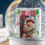 Christmas Snow Globe