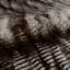 Maddox Fabric
