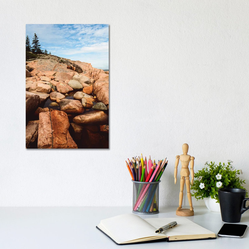 Coastal Life III by Olivia Joy StClaire - Wrapped Canvas Painting, 20.32 cm H x 30.48 cm W