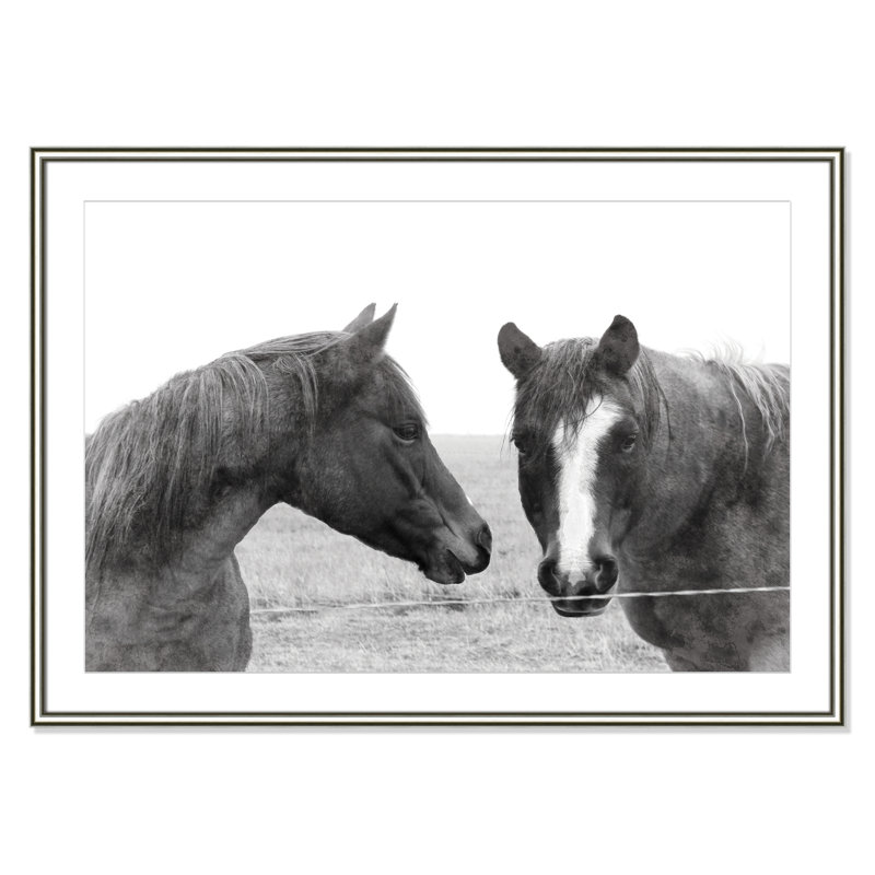Wild Pastures par Carol Robinsons - reproduction de photo sur papier encadrée, Argent, H 30,75 po x l 42,75 po x P 0,88 po