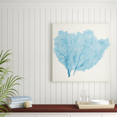 Sea Fan IV by Vision Studio - Wrapped Canvas Painting