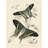 Canvas Papillions 2 - Toile tendue, impression sur toile