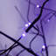 Arbre effrayant 3 lumières d'Halloween avec lumières mauves, 4 pi 5 pi et 6 pi, arbre noir éclairé pour la décoration d'Halloween