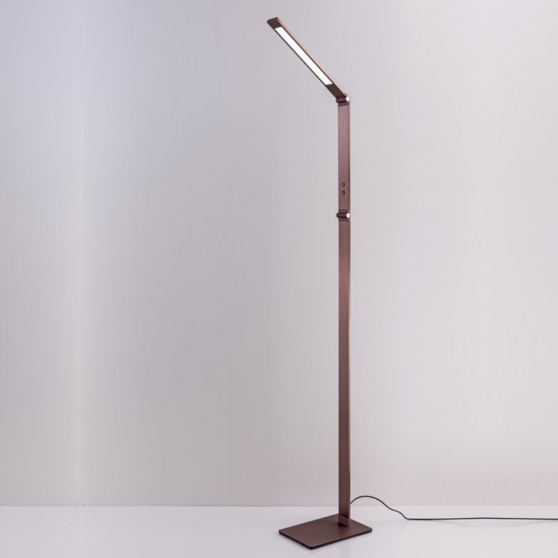 Aicke 130cm LED Task Floor Lamp, Rose Gold
