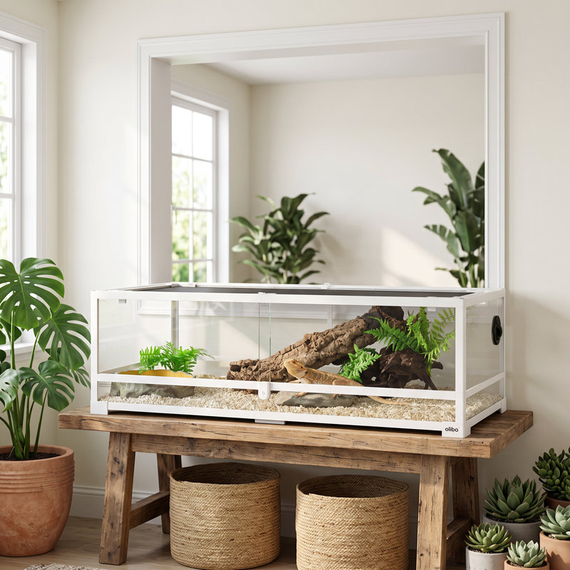 48 in. x 18 in. x 12.6 in. Glass and Plastic Reptile Terrarium