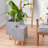 Annmarie Pot Planter-304956979