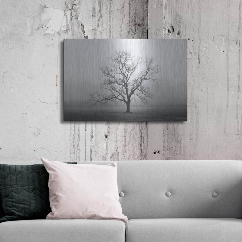"Velvet Sunrise" par Nicholas Bell, photographie, H 24 po x l 36 po