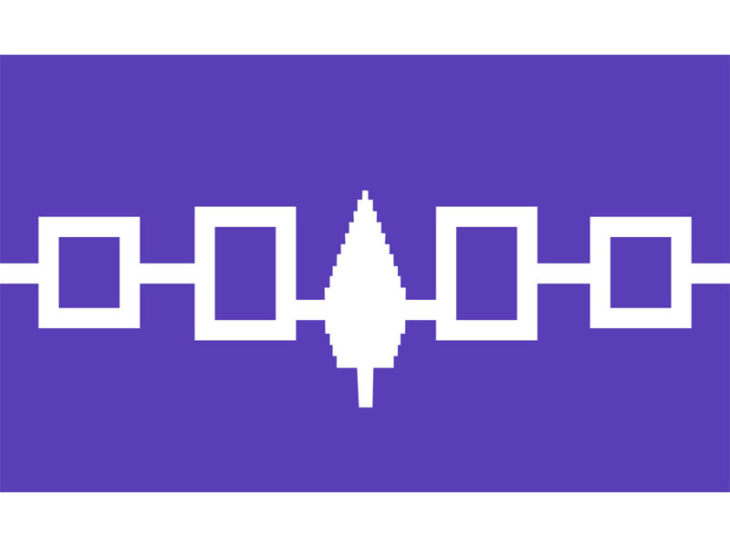 Native American Iroquois Confederacy, H 11 po x l 18 po
