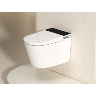 MEJE New Wall Hung Toilet Combo, Wall Mounted Toilet Bowl with In-wall Carrier, Soft Close Seat, Dual Flush, White (No Need additional In-wall Water Tank)