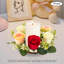 Arrangement de panier suspendu en sapin-97799853