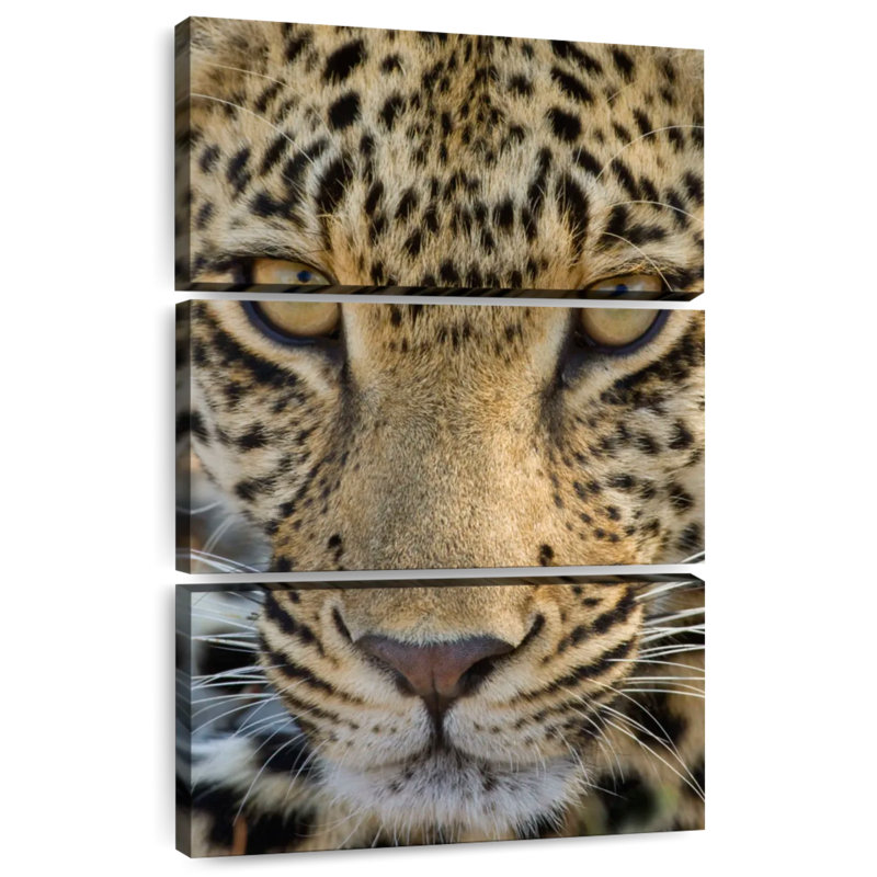Visage léopard