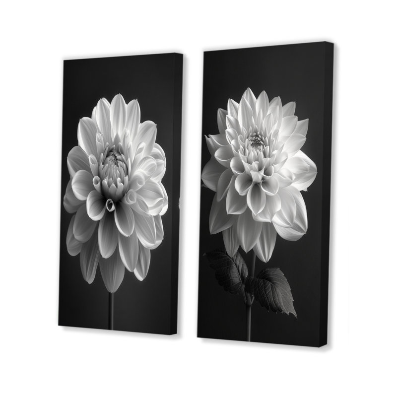 Élégante fleur de dahlia monochrome I - ensemble d'art mural 2 pièces, Ne s’applique pas, Toile tendue sur cadre