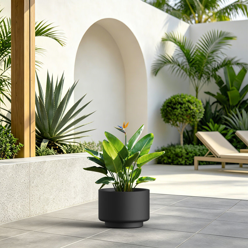 Grand pot / jardinière rond en béton anthracite foncé l 12,5 po x H 9 po avec trou de drainage pour l'intérieur et l'extérieur