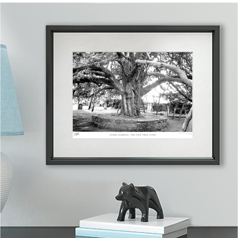 Stoke Gabriel, The Yew Tree C1960 by Francis Frith - Single Picture Frame Print, 60cm H x 80cm W x 2.3cm D