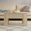 Hutt Lift Top Four Leg Coffee Table with Storage-668619279-668619281