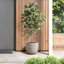 Pot à fleurs rond en céramique Gwendelynn-1675360885-1675360842