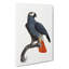 Orange-Tipped Grey Parrot by F. Levaillant - Wrapped Canvas-55366883