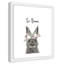 Le lapin est courage-48187586-48187581