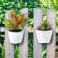Self-Watering Wall Planter