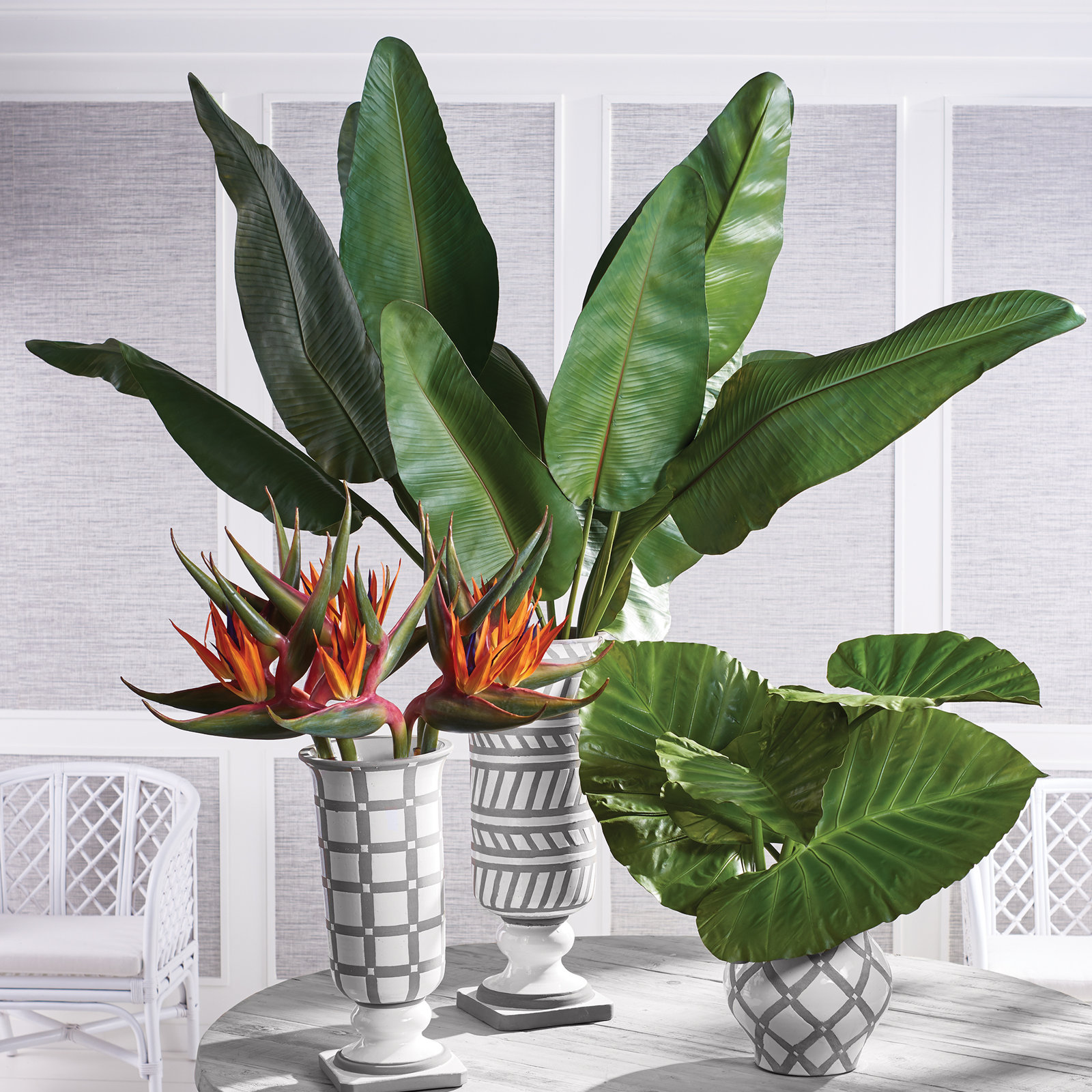 Cupp Strelitzia Arrangement