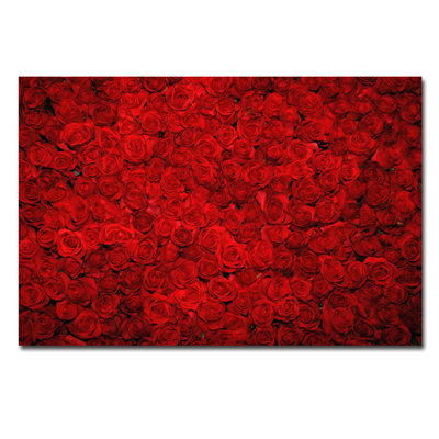 Bed Of Roses Print