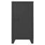 Voris Steel 1 - Door Accent Cabinet-510788496