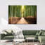 Forêt de bambou japonaise sur toile-950080403
