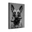 Animaux, chien tenant un pistolet dans la bouche, noir et blanc-1262467140