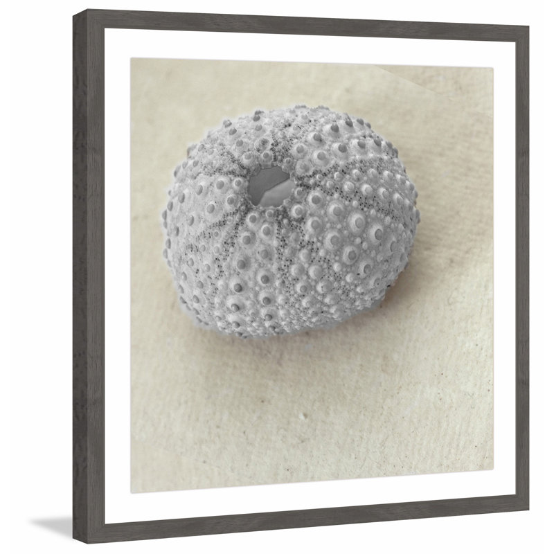 «Shades of Gray», reproduction encadrée, H 32 po x l 32 po x P 1,5 po