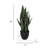 Artificial Sansevieria Snake Plant in Pot-1129665381