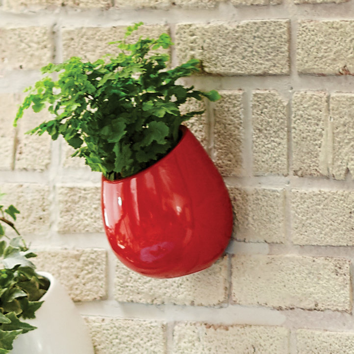Jardinière murale Hilaria, H 6,5 po x l 5,5 po x P 5 po, Rouge lustré