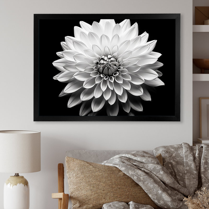 Dahlia en noir et blanc - impressions encadrées, L 40 po x H 30 po x P 1,5 po, Cadre noir