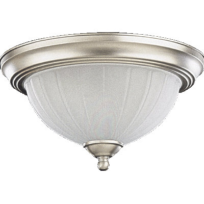Plafonnier encastré 11,5 "2 lumières Holley