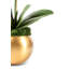 Adeline Gold Realtouch Orchid-1538680577