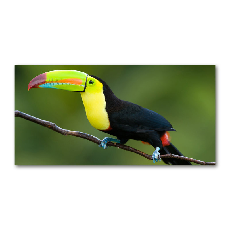Toucan - No Frame Print on Glass, Canvas, 70cm H x 140cm W x 2cm D
