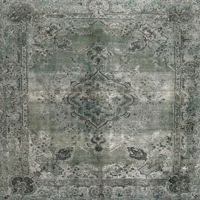 Oriental Indoor Rug