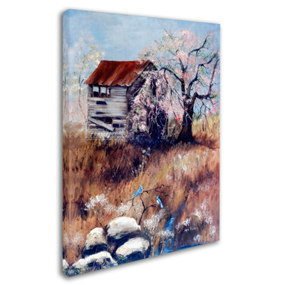 Dugazon 'The Old Tater House' Print on Wrapped Canvas